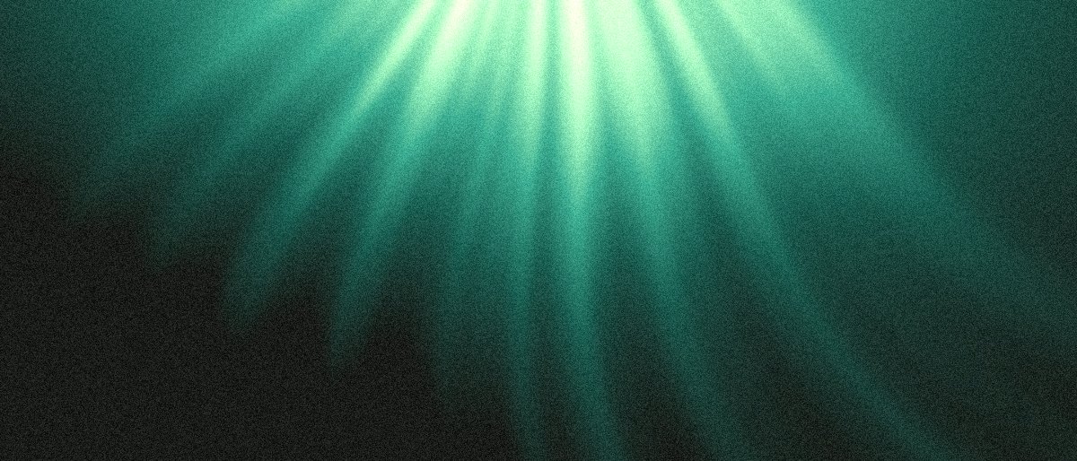Canopy App Store product page header background: pale sun through a green forest canopy