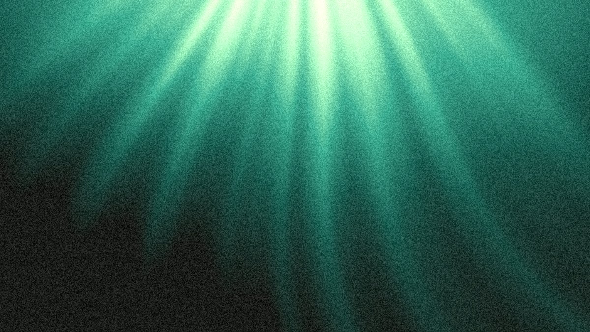 Canopy Discord server banner background: pale sun through a green forest canopy