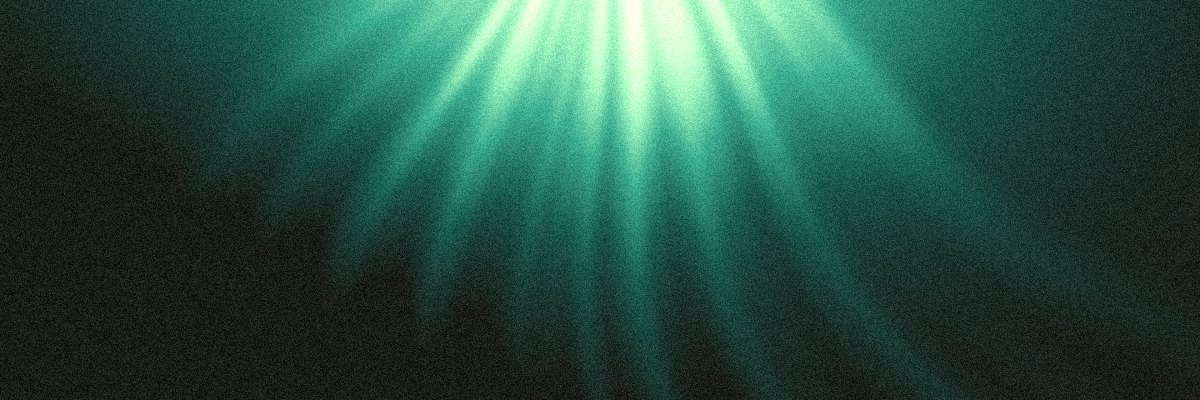 Canopy X header background: pale sun through a green forest canopy